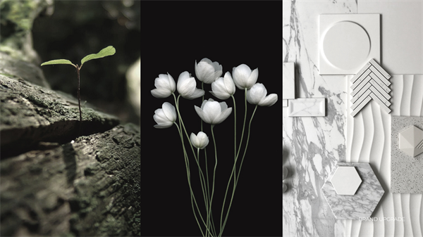 1709799763191021.png 141032821.png